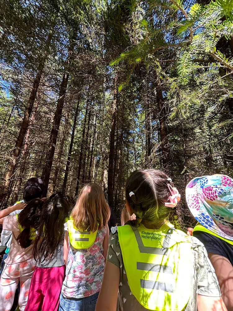 Kinder des KinderHaus Medienfabrik erleben den Wald mit allen Sinnen, Bild 1